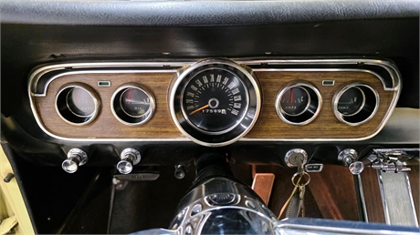 View Listing Image
