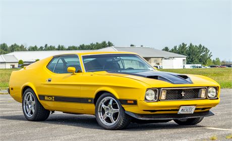 1973 Ford Mustang Mach 1 available for Auction | AutoHunter.com | 24490962
