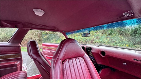 View Listing Image