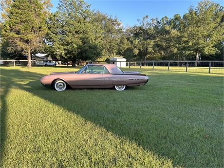 View Listing Image