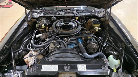 View Listing Image
