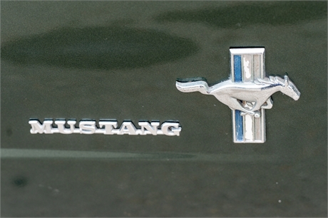 View Listing Image