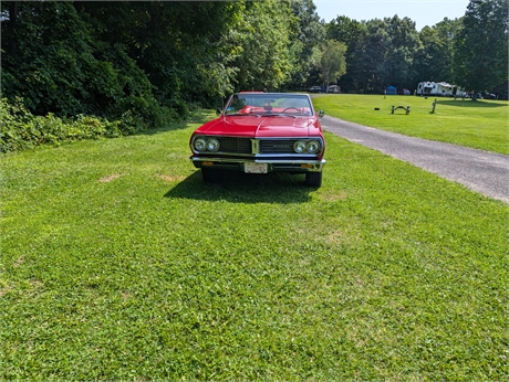 View Listing Image