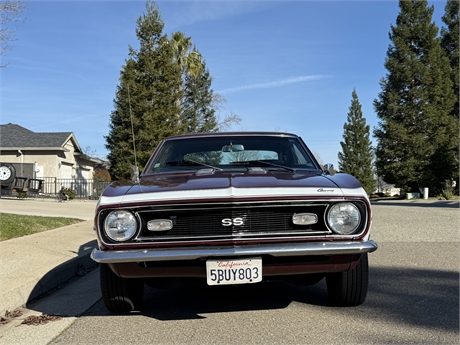 View Listing Image