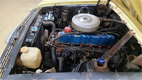 View Listing Image