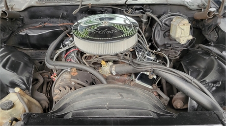 View Listing Image