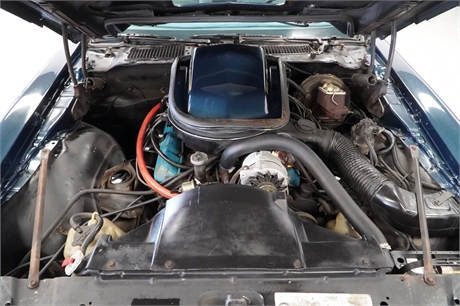 View Listing Image