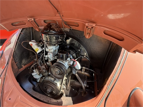 View Listing Image